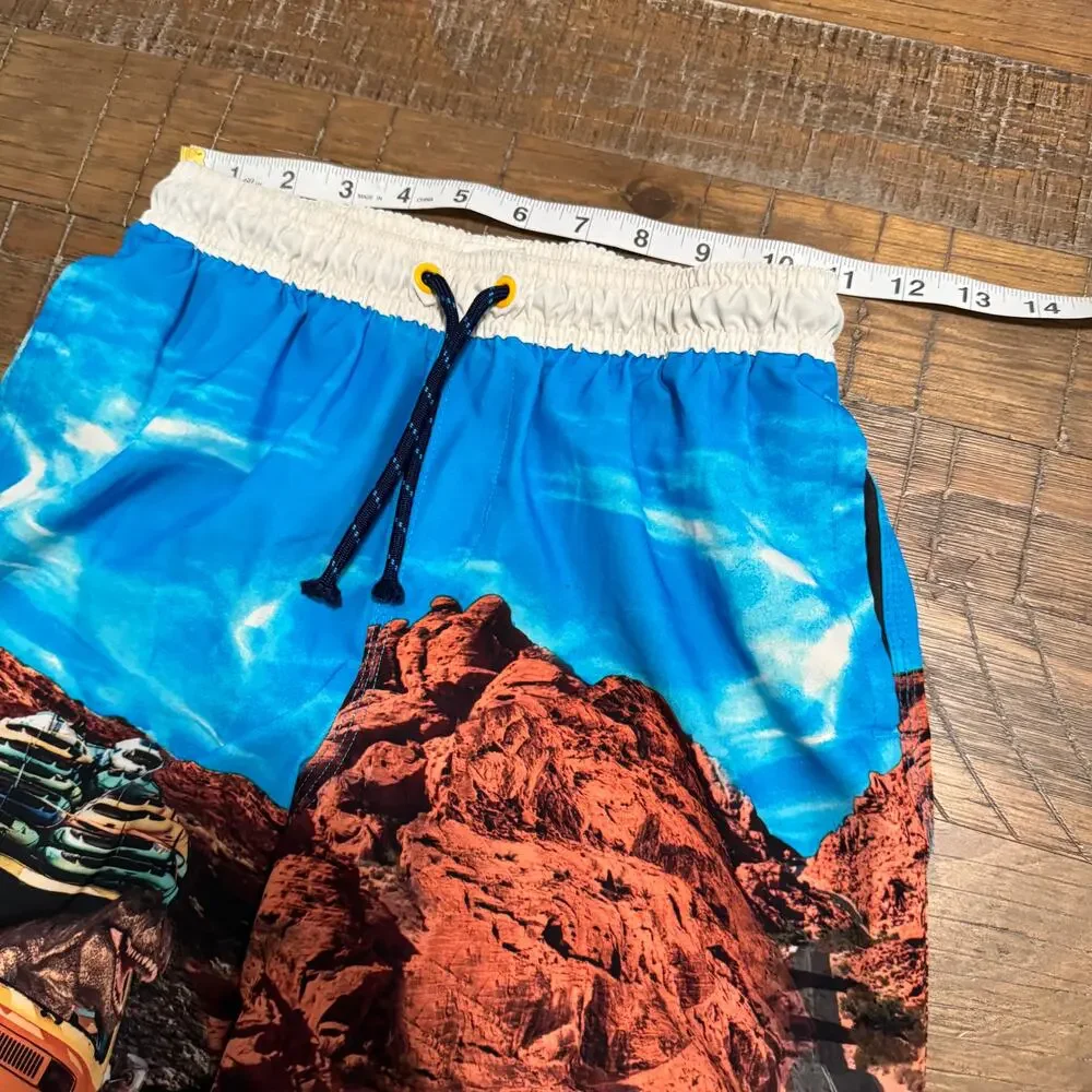 Lot of 2 Boys Swim Trunks Wonder Nation L 10-12 Dinosaur Surf Boards Twins
